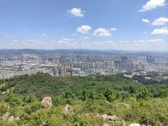 -长虫山生态公园风景林