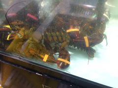 -盒马渔市餐厅