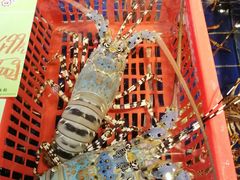 -79号渔船海鲜饭店(华强北店)