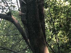 -昆明柏联SPA温泉