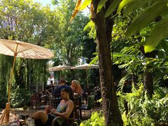-Fern Forest Cafe