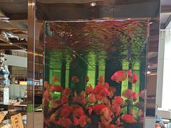 -怡咖啡海鲜自助餐厅(浦东香格里拉店)