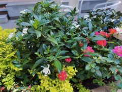 -Beans Solo豆号咖啡(百家湖花园店)