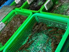 -都斛海鲜街