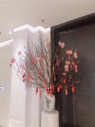-奥斯芬·欧系贵族SPA