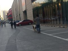 -鹏欣水游城