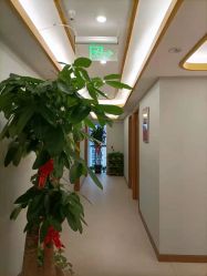 点击看大图 -Dr.林醫生产后修复·配方产康(南京江宁万达店)