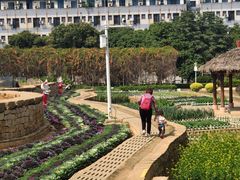 -天河儿童公园