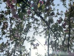 -元大都城垣遗址公园