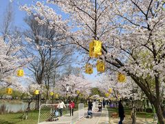 -尚湖风景区