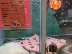 -FAELING PETS美天灵宠物(合生汇店)