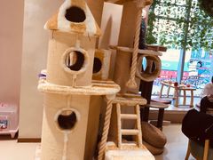 -藏猫猫咖啡主题馆(中央大道店)