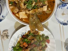 -煲来饱去冷水鱼