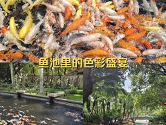 -深圳华侨城洲际大酒店