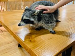 -藦茜花园宠物主题亲子互动体验馆(国顺东路店)