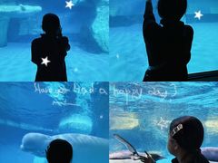 -海合安武汉极地海洋公园