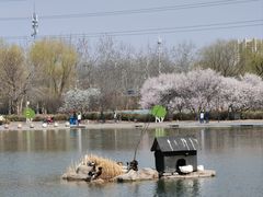 -太阳宫公园