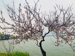 -石湖景区