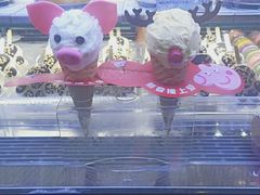 -野人先生现做冰淇淋(北京顺义祥云小镇店)