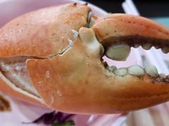 -龙海鲜螃蟹王(宏茂桥店)