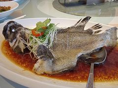 -春满园·早茶·粤菜·宴会(前海店)