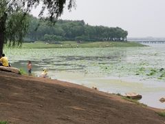 -丁香湖公园