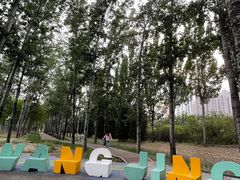 -大望京公园