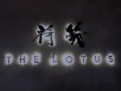-几荷·恰似故人来(秀水广场店)