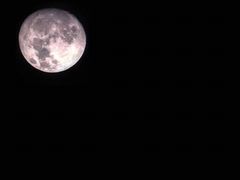 -1号足道推拿会馆