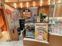 -米乐乖乖猫咪咖啡馆·猫咖(深圳湾后海汇店)