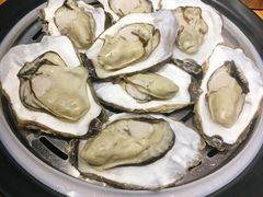 压锅生蚝-77号渔船·蒸海鲜青岛菜(积米崖店)