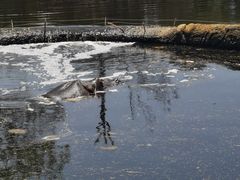 -威勒比开放式动物园