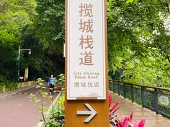 -金鸡山公园