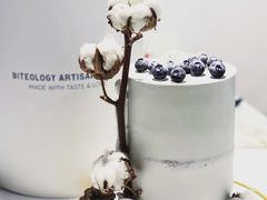 -Biteology Artisan Cakes(红庄·国际文化保税创新园店)