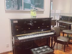 -柏斯琴行(汾阳店)