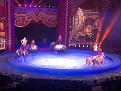 -珠海横琴长隆《卡卡虎奇遇记》