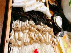 综合养生菌-快乐小羊火锅餐厅(农科路店)