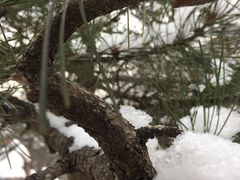 -天津盘山风景名胜区