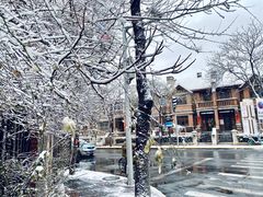 -天津五大道文化旅游区