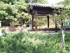 -云峰山自然风景区