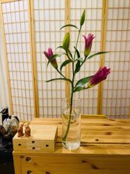 -Peach Yoga桃桃瑜伽塑形馆