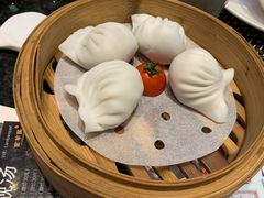 -新兴·金羊座·粤菜点心(乐峰店)