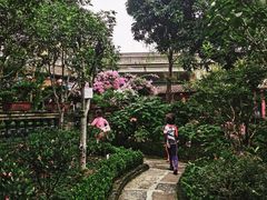 -香山家宴