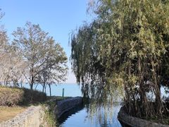 -阳澄湖半岛旅游度假区
