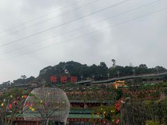 -枇杷园食为鲜火锅(南山店)