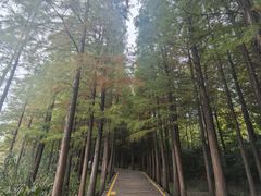 -云龙湖旅游景区