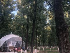 -顺鑫绿色度假村
