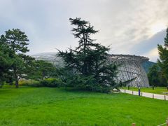 -北京植物园-展览温室