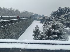-北陵公园