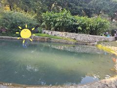 -成都市活水公园